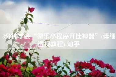 3分钟学会“微乐小程序开挂神器	”(详细透视教程)-知乎