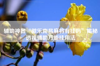 辅助神器“微乐南昌麻将有挂吗”揭秘透视辅助万能挂用法