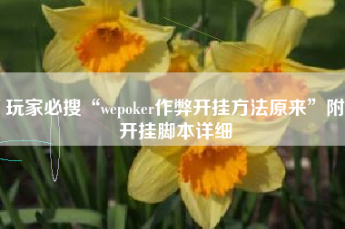 玩家必搜“wepoker作弊开挂方法原来”附开挂脚本详细