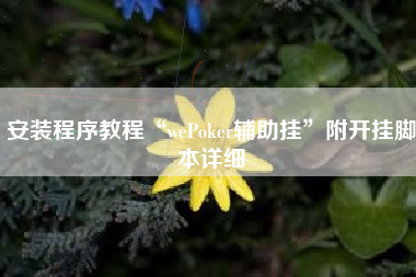 安装程序教程“wePoker辅助挂	”附开挂脚本详细