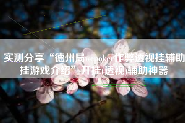 实测分享“德州局wepoker作弊透视挂辅助挂游戏介绍	”开挂(透视)辅助神器