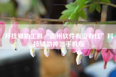 开挂辅助工具“德州软件有没有挂”科技辅助神器手机版