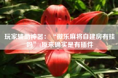 玩家辅助神器：“微乐麻将自建房有挂吗”(原来确实是有插件