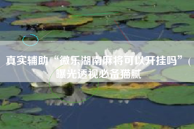 真实辅助“微乐湖南麻将可以开挂吗	”(曝光透视必备猫腻