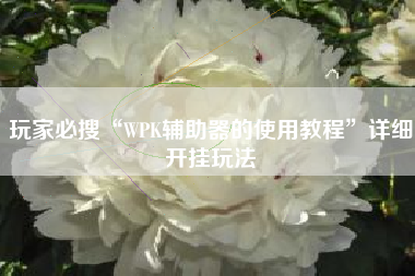 玩家必搜“WPK辅助器的使用教程”详细开挂玩法