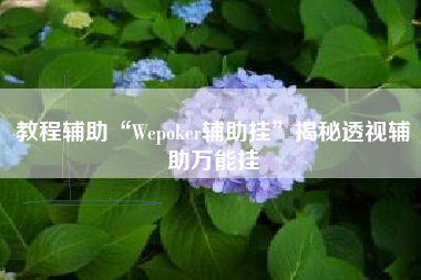 教程辅助“Wepoker辅助挂”揭秘透视辅助万能挂