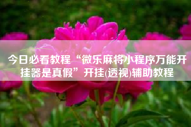今日必看教程“微乐麻将小程序万能开挂器是真假”开挂(透视)辅助教程