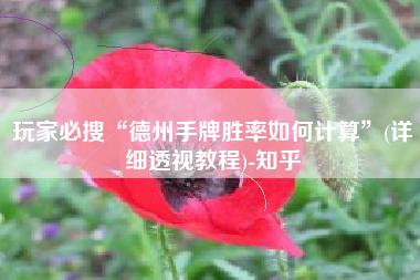 玩家必搜“德州手牌胜率如何计算	”(详细透视教程)-知乎