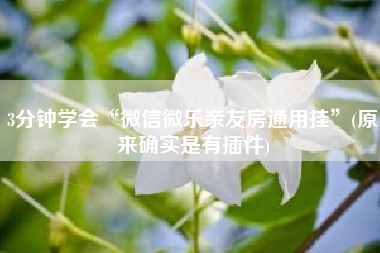 3分钟学会“微信微乐亲友房通用挂”(原来确实是有插件)