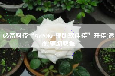 必备科技“WePOKer辅助软件挂”开挂(透视)辅助教程