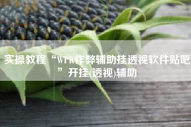实操教程“WPK作弊辅助挂透视软件贴吧”开挂(透视)辅助