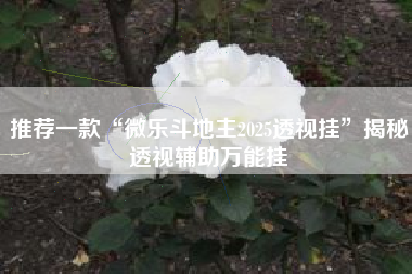 推荐一款“微乐斗地主2025透视挂	”揭秘透视辅助万能挂
