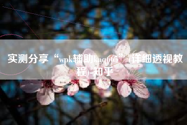实测分享“wpk辅助kaq665”(详细透视教程)-知乎