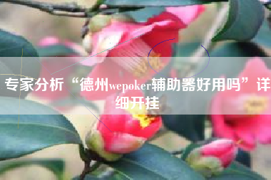 专家分析“德州wepoker辅助器好用吗”详细开挂 专家分析“德州wepoker辅助器好用吗”详细开挂