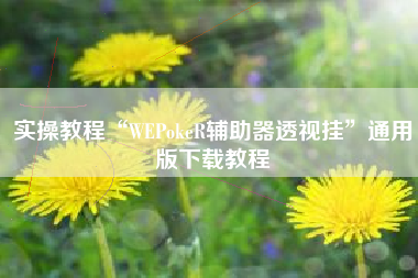 实操教程“WEPokeR辅助器透视挂”通用版下载教程