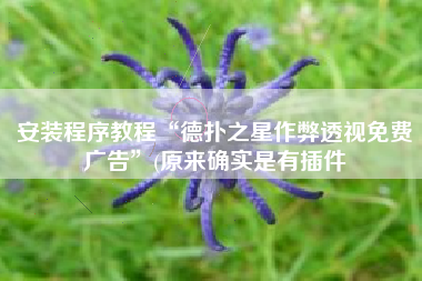 安装程序教程“德扑之星作弊透视免费广告	”(原来确实是有插件