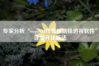 专家分析“wepoker作弊辅助挂透视软件”详细开挂玩法