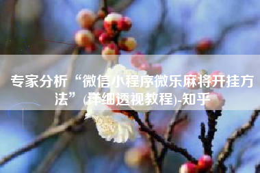 专家分析“微信小程序微乐麻将开挂方法	”(详细透视教程)-知乎