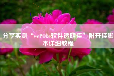 分享实测“wePOke软件透明挂	”附开挂脚本详细教程