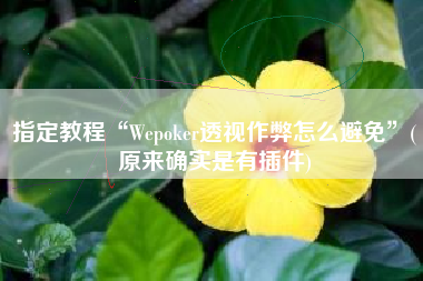 指定教程“Wepoker透视作弊怎么避免”(原来确实是有插件)