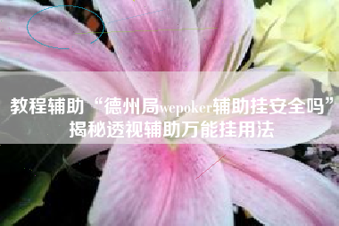 教程辅助“德州局wepoker辅助挂安全吗”揭秘透视辅助万能挂用法