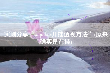 实测分享“wepoker开挂透视方法”(原来确实是有挂)