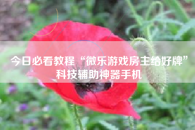 今日必看教程“微乐游戏房主给好牌”科技辅助神器手机