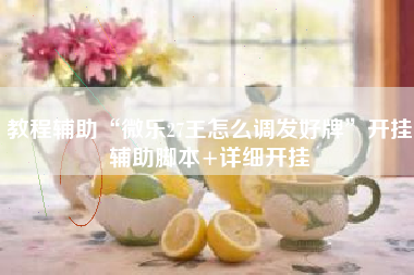 教程辅助“微乐27王怎么调发好牌	”开挂辅助脚本+详细开挂