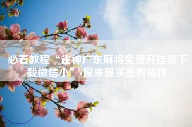 必看教程“雀神广东麻将免费开挂器下载微信小”(原来确实是有插件