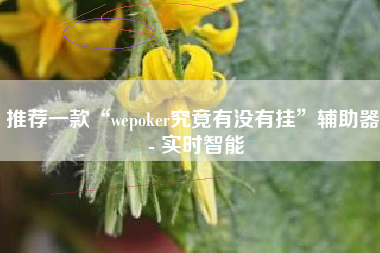 推荐一款“wepoker究竟有没有挂”辅助器 - 实时智能