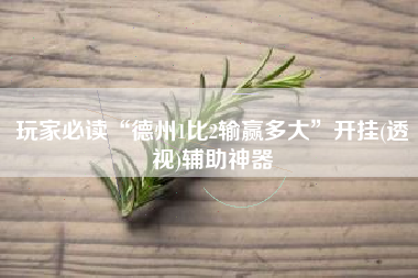 玩家必读“德州1比2输赢多大”开挂(透视)辅助神器