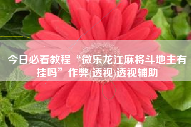 今日必看教程“微乐龙江麻将斗地主有挂吗”作弊(透视)透视辅助