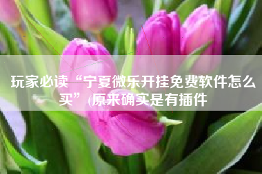 玩家必读“宁夏微乐开挂免费软件怎么买	”(原来确实是有插件