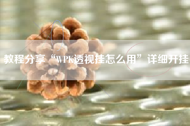 教程分享“WPK透视挂怎么用”详细开挂