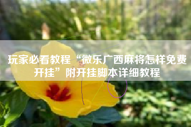 玩家必看教程“微乐广西麻将怎样免费开挂”附开挂脚本详细教程