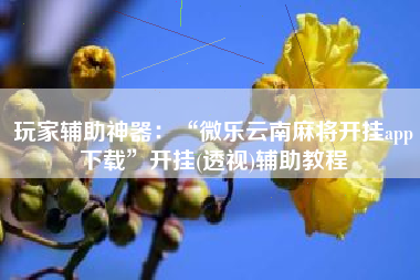 玩家辅助神器：“微乐云南麻将开挂app下载”开挂(透视)辅助教程