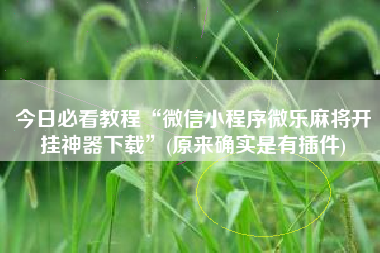今日必看教程“微信小程序微乐麻将开挂神器下载”(原来确实是有插件)