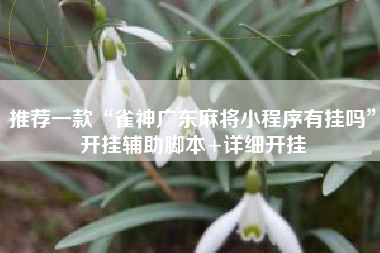 推荐一款“雀神广东麻将小程序有挂吗	”开挂辅助脚本+详细开挂