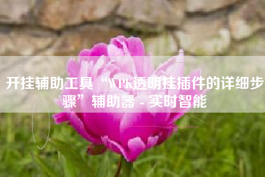 开挂辅助工具“WPK透明挂插件的详细步骤”辅助器 - 实时智能