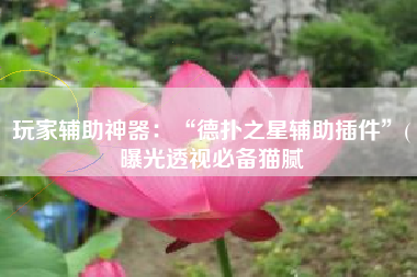 玩家辅助神器：“德扑之星辅助插件	”(曝光透视必备猫腻