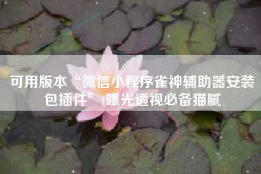 可用版本“微信小程序雀神辅助器安装包插件	”(曝光透视必备猫腻