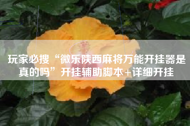 玩家必搜“微乐陕西麻将万能开挂器是真的吗”开挂辅助脚本+详细开挂