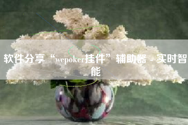 软件分享“wepoker挂件	”辅助器 - 实时智能