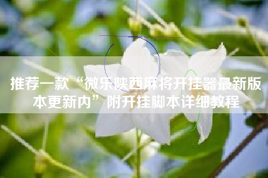 推荐一款“微乐陕西麻将开挂器最新版本更新内	”附开挂脚本详细教程