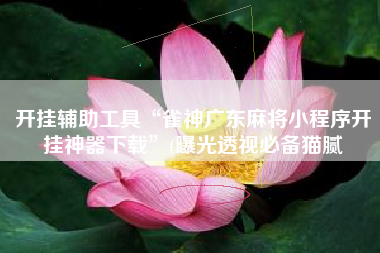 开挂辅助工具“雀神广东麻将小程序开挂神器下载”(曝光透视必备猫腻