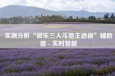 实测分析“微乐三人斗地主透视”辅助器 - 实时智能