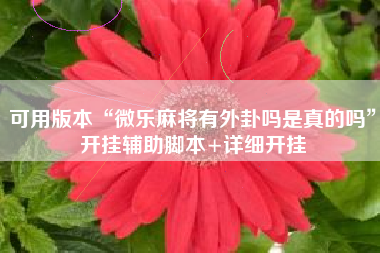 可用版本“微乐麻将有外卦吗是真的吗”开挂辅助脚本+详细开挂 可用版本“微乐麻将有外卦吗是真的吗”开挂辅助脚本+详细开挂