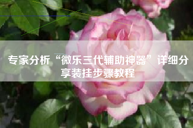 专家分析“微乐三代辅助神器”详细分享装挂步骤教程