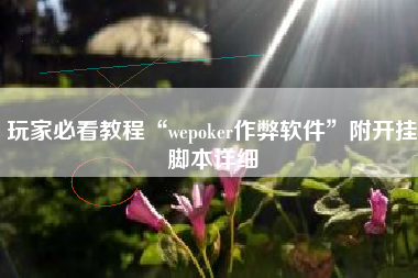 玩家必看教程“wepoker作弊软件	”附开挂脚本详细