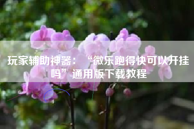 玩家辅助神器：“微乐跑得快可以开挂吗”通用版下载教程